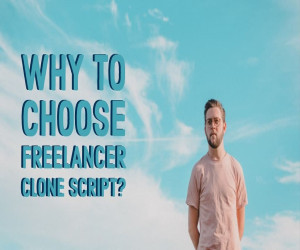 Why the Entrepreneurs are Choosing Freelancer Clone Script?