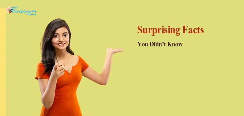 Surprising Facts You Didn't Know About Freelancer Script PHP Best Freelancer Clone Script