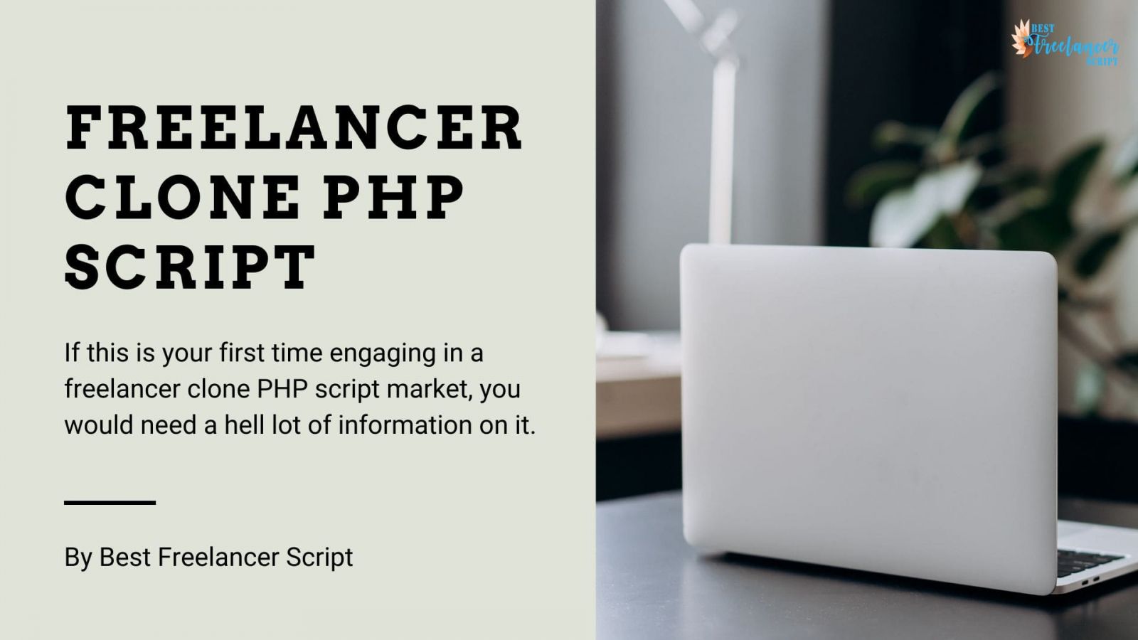 All Information You Will Ever Need On Our Freelancer Clone PHP Script Freelancer Clone PHP Script
